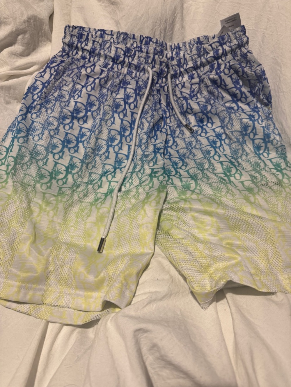 Dior Gradient Logo Swim Shorts - Blue/Green/Yellow